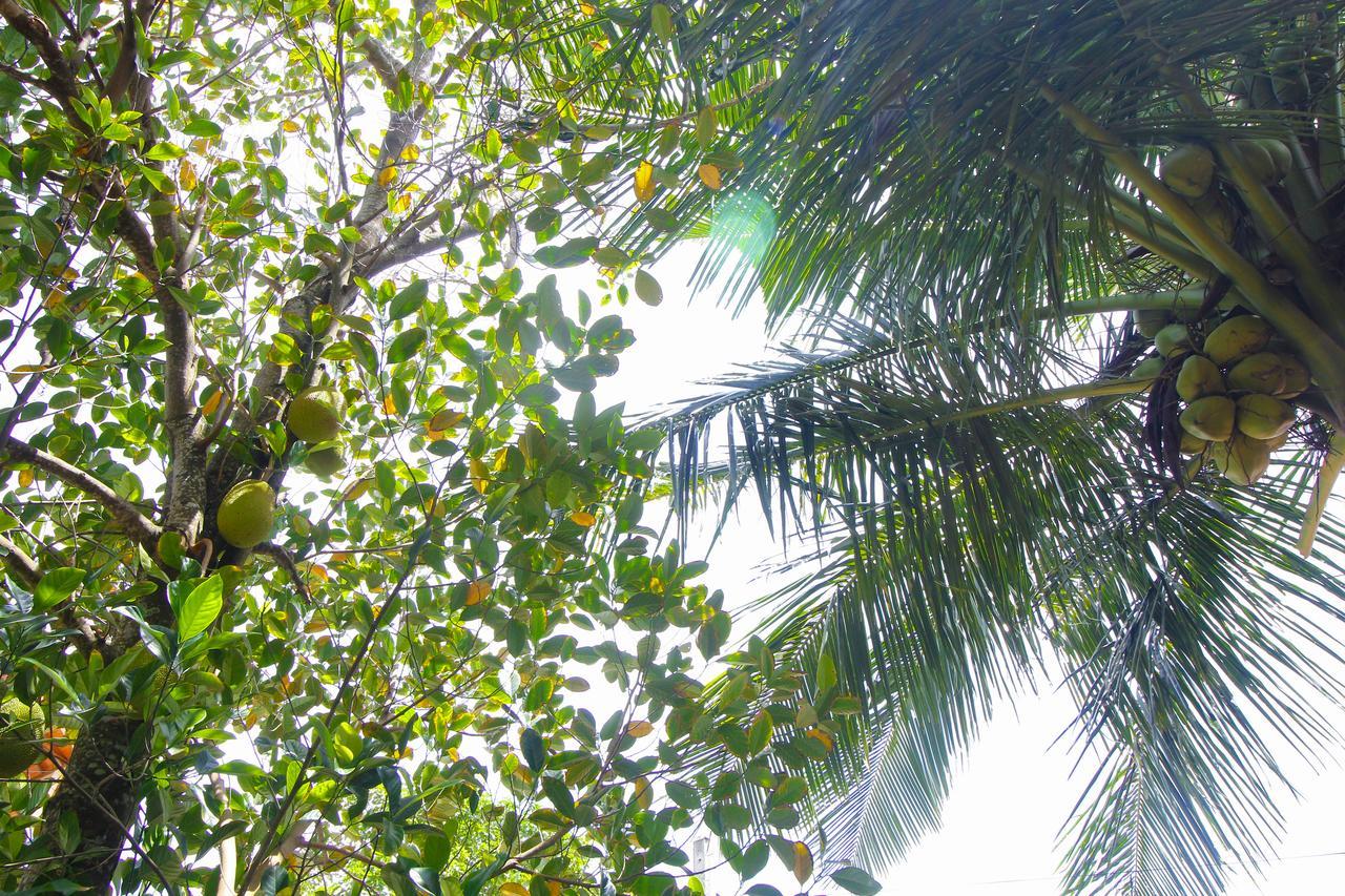 Dedunu Home Bentota Exteriör bild